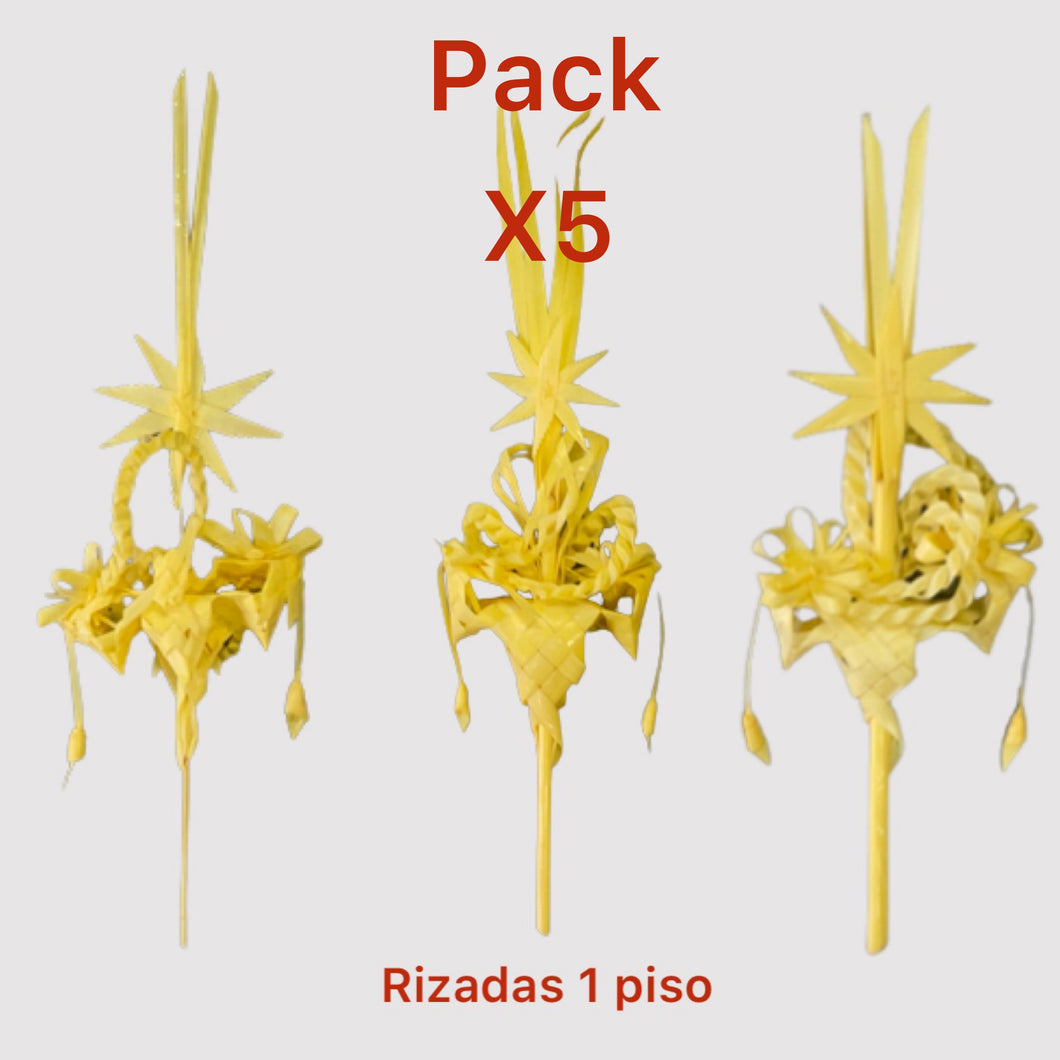 Pack 5 Palmas Rizadas 1 Piso