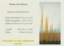 Load image into Gallery viewer, La palma lisa es la palma tal y como sale de la palmera, después de un proceso de cepillado, clorado y guardadas en cámaras de azufre. El color va de amarilla a verde. Más verde es la palma que más le da el sol dentro del capurucho y la más amarilla es la que menos le da. La palma de facho es la palma que más sol le ha entrado por tanto es más verde y no tiene punta. Palma blanca y dátiles Serrano Valero. Www.palmasydatiles.com