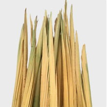 Load image into Gallery viewer, La palma lisa es la palma tal y como sale de la palmera, después de un proceso de cepillado, clorado y guardadas en cámaras de azufre. El color va de amarilla a verde. Más verde es la palma que más le da el sol dentro del capurucho y la más amarilla es la que menos le da. La palma de Entrefina tiene la punta verde. Palma blanca y dátiles Serrano Valero. Www.palmasydatiles.com