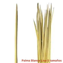 Load image into Gallery viewer, Palma lisa Blanca
